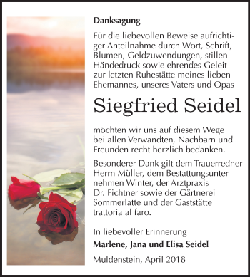 Traueranzeige von Siegfried Seidel von Mitteldeutsche Zeitung Bitterfeld