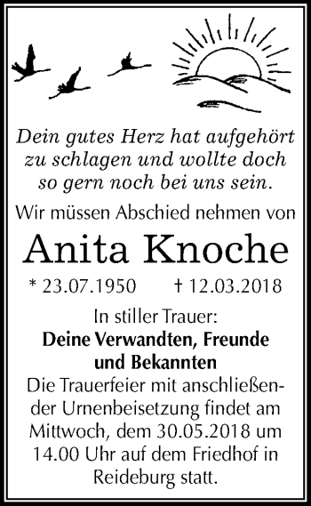 Traueranzeige von Anita Knoche von Mitteldeutsche Zeitung Halle/Saalkreis