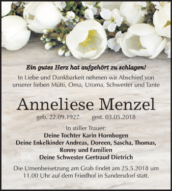 Traueranzeige von Anneliese Menzel von Mitteldeutsche Zeitung Bitterfeld