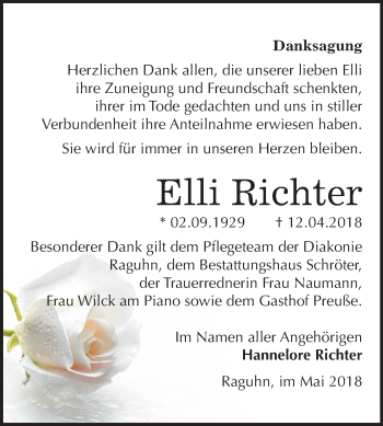 Traueranzeige von Elli Richter von Mitteldeutsche Zeitung Bitterfeld