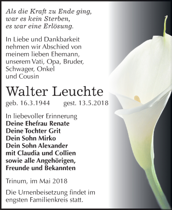 Traueranzeige von Walter Leuchte von Mitteldeutsche Zeitung