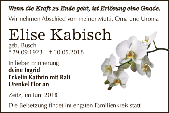 Traueranzeige von Elise Kabisch von Super Sonntag Zeitz