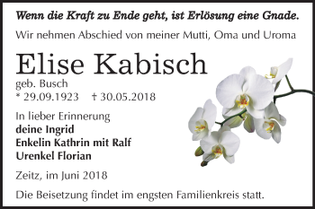 Traueranzeige von Elise Kabisch von Mitteldeutsche Zeitung Zeitz