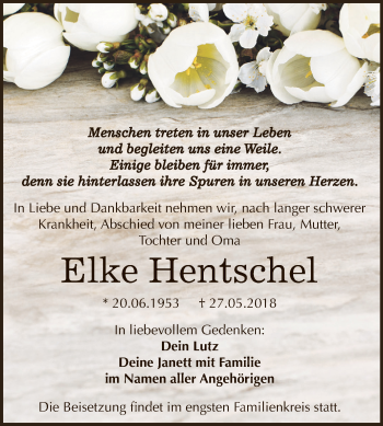 Traueranzeige von Elke Hentschel von WVG - Wochenspiegel Dessau / Köthen