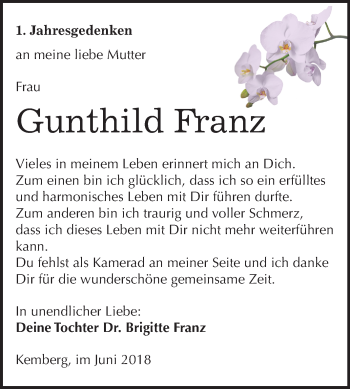 Traueranzeige von Gunthild Franz von Mitteldeutsche Zeitung