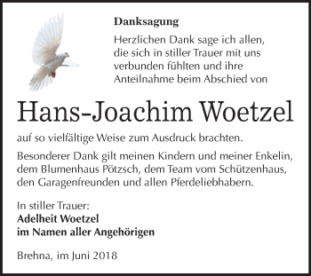 Traueranzeige von Hans-Joachim Woetzel von Mitteldeutsche Zeitung Bitterfeld