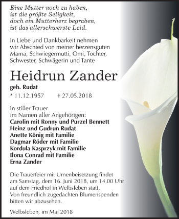 Traueranzeige von Heidrun Zander von Mitteldeutsche Zeitung