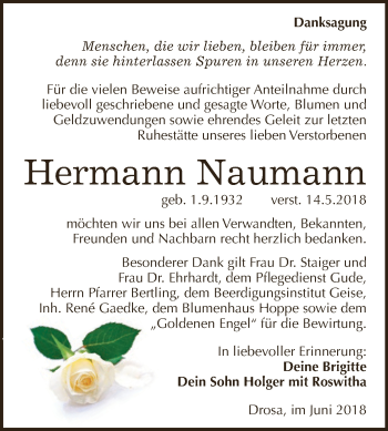 Traueranzeige von Hermann Naumann von WVG - Wochenspiegel Dessau / Köthen