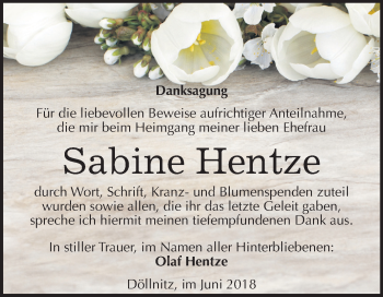 Traueranzeige von Sabine Hentze von Mitteldeutsche Zeitung Halle/Saalkreis