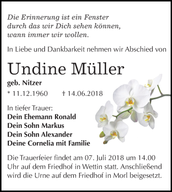 Traueranzeige von Undine Müller von Mitteldeutsche Zeitung Halle/Saalkreis