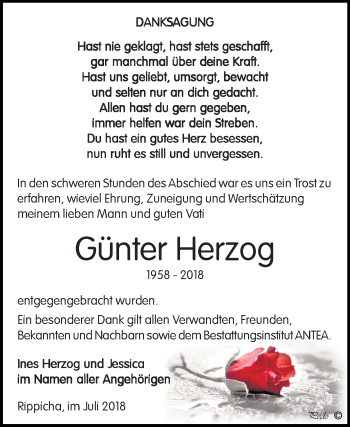 Traueranzeige von Günter Herzog von Mitteldeutsche Zeitung Zeitz