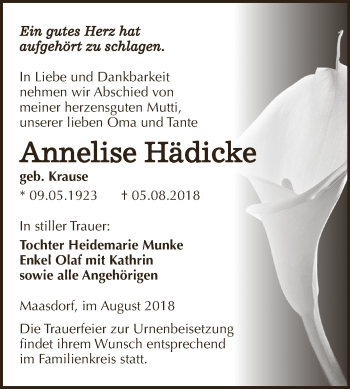 Traueranzeige von Annelise Hädicke von WVG - Wochenspiegel Dessau / Köthen