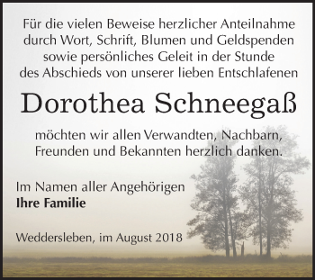 Traueranzeige von Dorothea Schneegaß von Mitteldeutsche Zeitung Quedlinburg