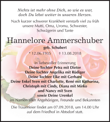 Traueranzeige von Hannelore Ammerschuber von Mitteldeutsche Zeitung