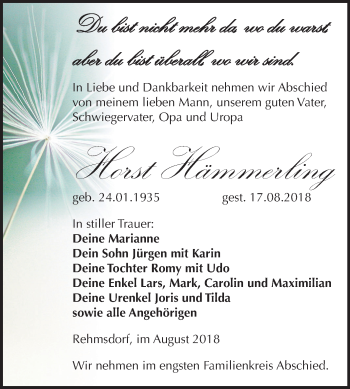 Traueranzeige von Horst Hämmerling von Mitteldeutsche Zeitung Zeitz
