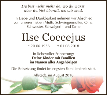 Traueranzeige von Ilse Coccejus von Super Sonntag SGH Mansf. Land