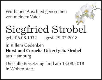 Traueranzeige von Siegfried Strobel von Mitteldeutsche Zeitung Bitterfeld