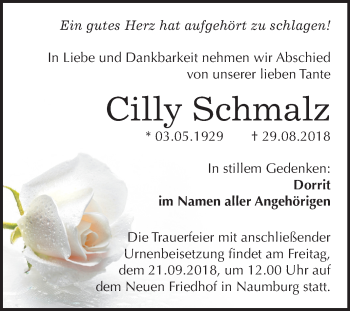 Traueranzeige von Cilly Schmalz von Mitteldeutsche Zeitung
