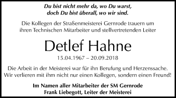 Traueranzeige von Detlef Hahne von Mitteldeutsche Zeitung Quedlinburg