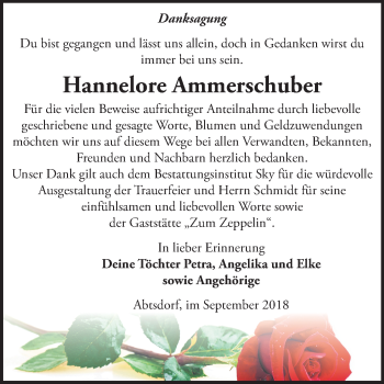 Traueranzeige von Hannelore Ammerschuber von Mitteldeutsche Zeitung