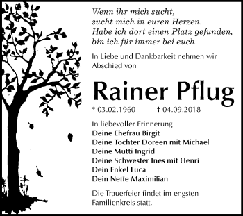 Traueranzeige von Rainer Pflug von Mitteldeutsche Zeitung Dessau-Roßlau