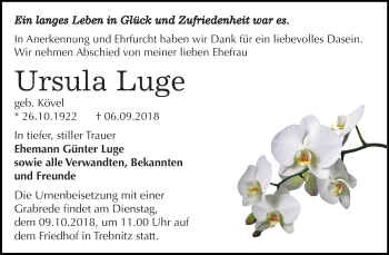 Traueranzeige von Ursula Luge von Mitteldeutsche Zeitung Bernburg