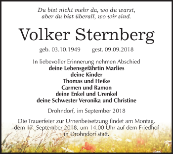 Traueranzeige von Volker Sternberg von Mitteldeutsche Zeitung Aschersleben
