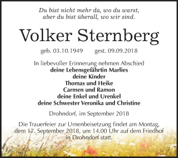 Traueranzeige von Volker Sternberg von Mitteldeutsche Zeitung