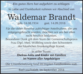 Traueranzeige von Waldemar Brandt von Mitteldeutsche Zeitung Merseburg/Querfurt