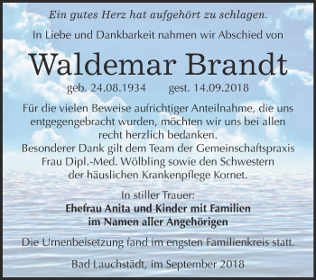 Traueranzeige von Waldemar Brandt von WVG - Wochenspiegel Merseburg