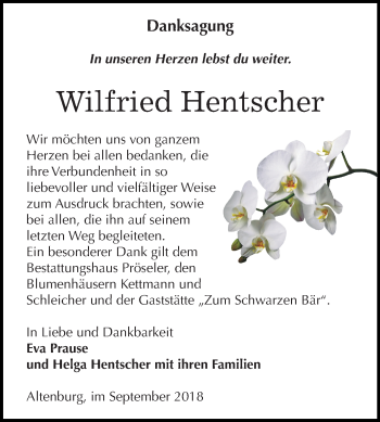 Traueranzeige von Wilfried Hentscher von Mitteldeutsche Zeitung Bernburg