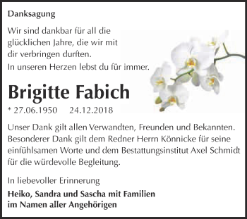 Traueranzeige von Brigitte Fabich von WVG - Wochenspiegel NMB / WSF / ZTZ