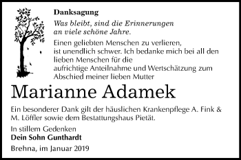 Traueranzeige von Marianne Adamek von Mitteldeutsche Zeitung Bitterfeld