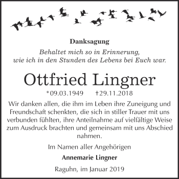 Traueranzeige von Ottfried Lingner von WVG - Wochenspiegel Bitterfeld