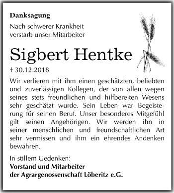 Traueranzeige von Sigbert Hentke von Mitteldeutsche Zeitung Bitterfeld