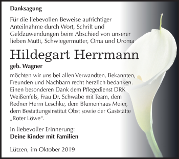 Traueranzeige von Hildegart Herrmann von Mitteldeutsche Zeitung Weißenfels