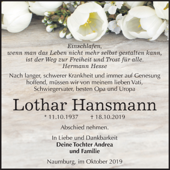 Traueranzeige von Lothar Hansman von Mitteldeutsche Zeitung Naumburg/Nebra