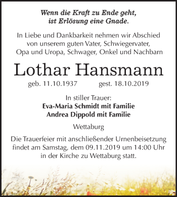 Traueranzeige von Lothar Hansmann von Mitteldeutsche Zeitung Naumburg/Nebra