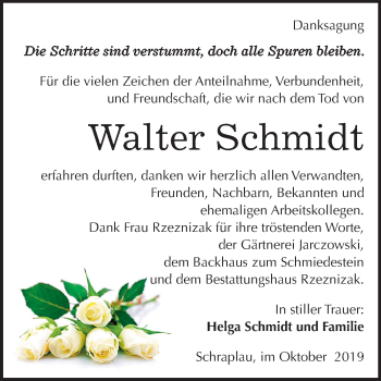 Traueranzeige von Walter Schmidt von Super Sonntag Merseburg/Querfurt / Mansfelder Land