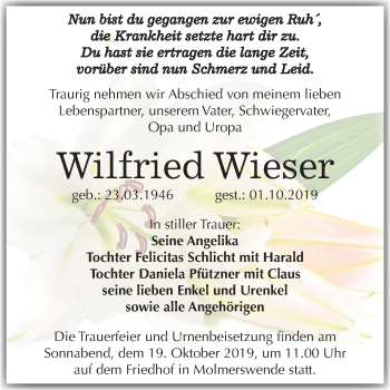 Traueranzeige von Wilfried Wieser von Super Sonntag Mansfelder Land