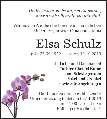 Traueranzeige von Elsa Schulz von Mitteldeutsche Zeitung Halle/Saalkreis