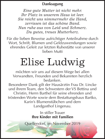Traueranzeige von Elise Ludwig von Super Sonntag Dessau-Roßlau / Köthen