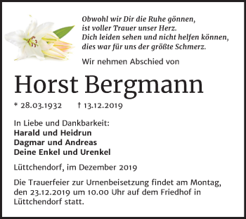 Traueranzeige von Horst Bergmann von Super Sonntag Mansfelder Land