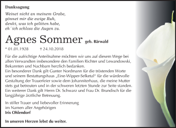Traueranzeige von Agnes Sommer von Mitteldeutsche Zeitung Aschersleben