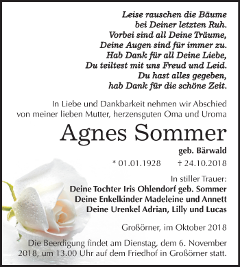 Traueranzeige von Agnes Sommer von Mitteldeutsche Zeitung Mansfelder Land