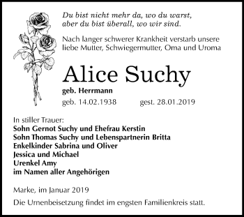 Traueranzeige von Alice Suchy von Mitteldeutsche Zeitung Bitterfeld