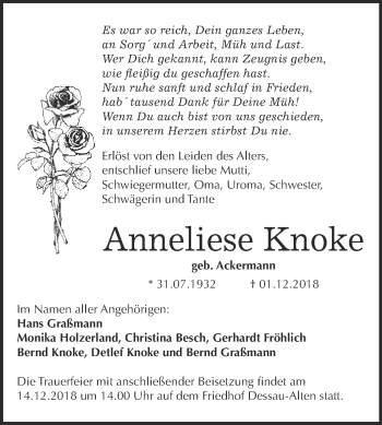 Traueranzeige von Anneliese Knoke von WVG - Wochenspiegel Dessau / Köthen