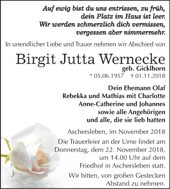 Traueranzeige von Birgit Jutta Wernecke von Mitteldeutsche Zeitung Aschersleben