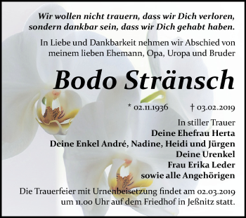 Traueranzeige von Bodo Stränsch von WVG - Wochenspiegel Bitterfeld
