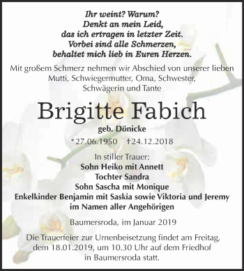 Traueranzeige von Brigitte Fabich von WVG - Wochenspiegel NMB / WSF / ZTZ